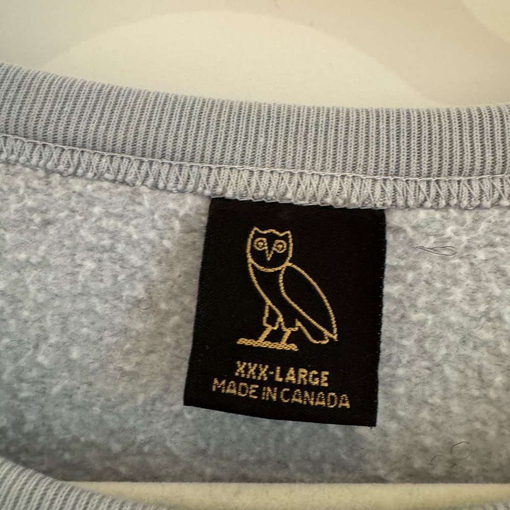 Classic Gray Sweatshirt with Embroidered Logo - Picture 3 of 5